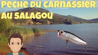 Peche des Carnassiers au Salagou en Float tube HD ;)