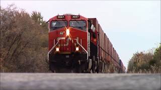 CN Q149 and M396 in the Fall Foliage in Durand! - 10/26/19