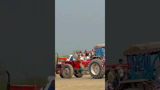 Ford 4600 vs Mf 135