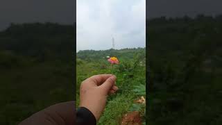 ফুলের মতোই প্রিয় মানুষটাকে ভালোবাসুন🥰🥰 #love #viral