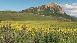 Crested Butte Through the Seasons