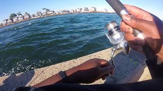 Trying out my Shimano Stradic - Birthday Week Fishing Part 1