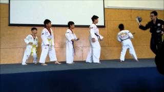 [NZ Howick Taekwondo] Point View Primary School Demonstration (07.11.14)