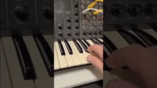 korg ms 20 VS moog #lead