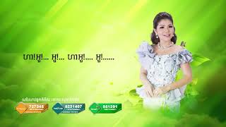 ណាំណាវចូកកំពឹស មាស សុខសោភា ចេន សាយចៃ【official full audio】