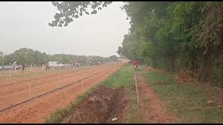 Carpincho ganador en el Hipódromo Central San Ignacio Mnes