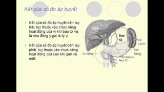 Căn bản về áp huyết