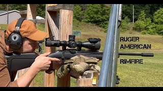 Best Precision Plink for the Clink? Ruger American Rimfire Review