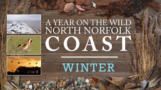 A year on the wild North Norfolk coast - Part 1 - Winter