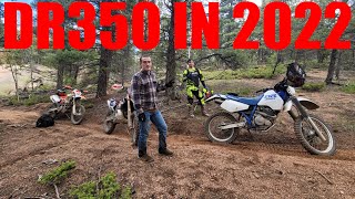 Suzuki DR350 in 2022 | Single Track Ride