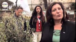 Earth Day 2015 - Valeria Ciarambino pianta un ulivo nel giardino "Melissa Bassi" di Scampia