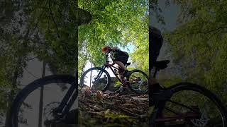 MTB Park Pfälzerwald -Trans Pfalzerwald