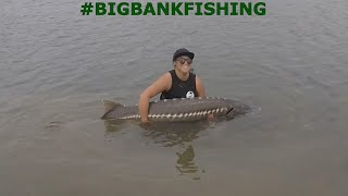 COZZY SPOT BEAST Sturgeon 6ft 4in