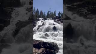 Glen Alpine Falls #fallenleaflake #tahoebasin #waterfall #nature #alpinefalls