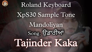 Udaarian !! Tajinder Kaka !! Roland Keyborad XPS30 Sample Tone Mandolian !! Satinder Sartaj Udaarian