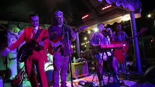 IGOR AND THE RED ELVISES " SHE WORKS FOR KGB " AT THE TIPSY TIKI  10-24-2024