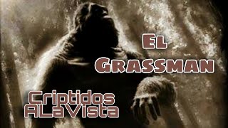 El Ohio Grassman | VARIANTES DE BIGFOOT | #Bestiario Vol.52 | CRIPTOZOOLOGÍA | Criptidos A La Vista