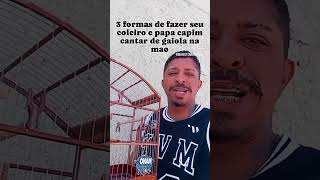 3 DICAS PARA FAZER SEU COLEIRO E PAPA CAPIM CANTAR DE GAIOLA NA MAO @manotom