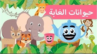 فيديو تعليمي للاطفال | حيوانات الغابة