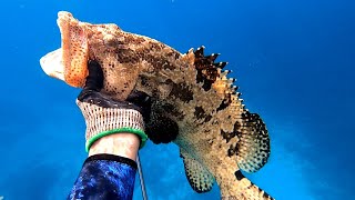 The Best Spot Spearfishing | king  Merkerel Tiger Grouper  Giant Trevally