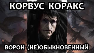 Корвус Коракс – Ворон (Не)Обыкновенный