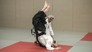 Aikido: Bruno GONZALEZ Summer Seminar 2014