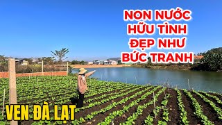 Đất ven Đà Lạt| Mảnh đất mang tới TÀI LỘC & THỊNH VƯỢNG là đây sao? Mê quá xá !!!