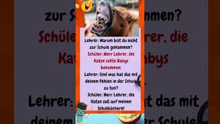 Lehrer: Warum #german #witze #lustigekatze