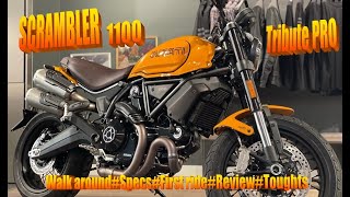 DUCATI scrambler 1100 Tribute Pro 2022 #firstride#testride​​#ride along#specs​​​#toughts