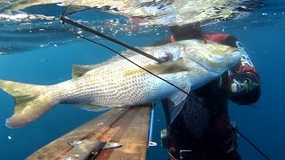 Pesca sub   :  ✴  Veni, Vidi, Vici...(Sud Sardegna)