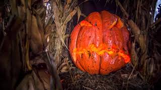 Haunted Overload Day Haunt 2023