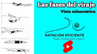 Viraje Park Tae-huan | FASES DEL VIRAJE Natación Efifiente #Shorts