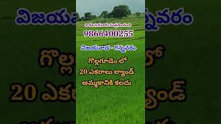 Land for Sale in Gollagudem | Gannavaram | Vijayawada | Amaravathi | గొల్లగూడెం | #krishnadistrict