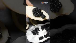 Fakta Caviar yang Jarang Diketahui #Caviar #sturgeon #beluga #osetra #sevruga #fakta #viral #shorts