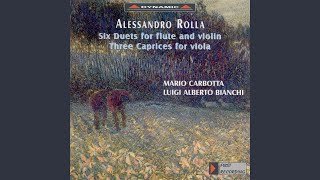 Duet for flute and violin, BI 252: II. Andante con variazioni