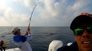 pesca en mar abierto "pez velas y dorado"