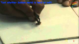 Test whether Sodium metal is hard or soft