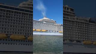 WOW!  Wonder of the Seas - Royal Caribbean #shorts