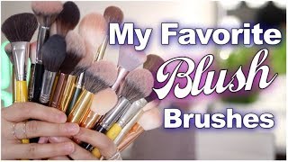 Blush Brush Favorites