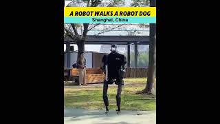 A #robot Walks A Robot Dog In #shanghai , #china #fyp #strange #techtok #technology #future