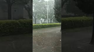 Heavy rain in Islamabad #rainy weather # beautiful