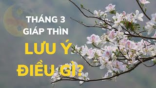 Tháng 3 Giáp Thìn - Những Điều Cần Lưu Ý