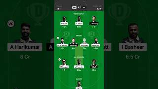 BAS vs BS match dream11 team production। BAS vs BS match dream 11 team।#shorts #ytshots #dream11l