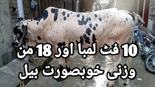 ماشاءاللہ صحیح کہتے ہیں شوق کا کوئی مول نہیں ہوتا