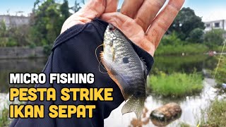 Micro Fishing | Tanago - Pesta Strike Ikan Sepat