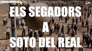 ELS SEGADORS A SOTO DEL REAL.