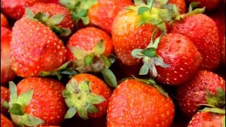 Homemade strawberry jam