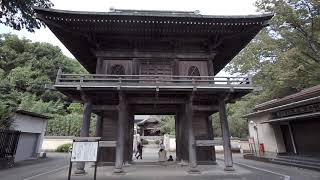 Tokyo Kokubun-ji 国分寺 お鷹の道