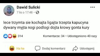 Dawid Sulicki tekst 2