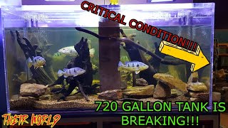 MASSIVE AQUARIUM - BIG TROUBLE!!! // TANK IS READY TO EXPLODE!!! // THE END IS NEAR!!!